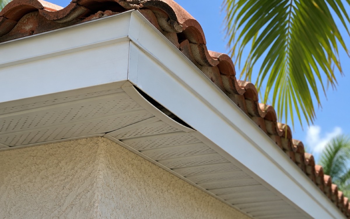 A white soffit corner pulled away from the fascia under a tile roof on a Florida stucco home, with a palm frond nearby, the kind of narrow gap that shows how small a hole a rat can get through